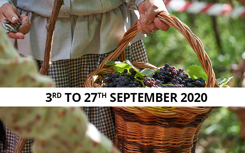 Madeira wine fest 2020